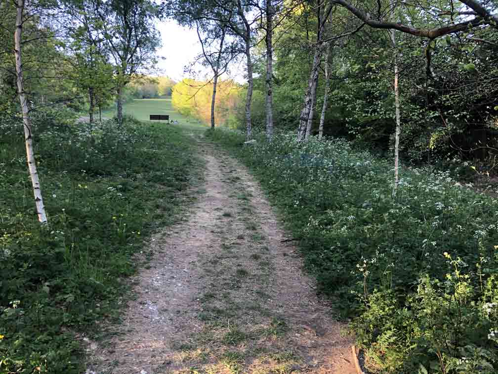 path leading up through cow parsley to the open green