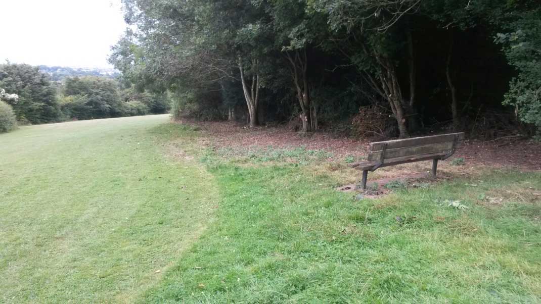 Photo 1: Cleared bench at the top of the clearing